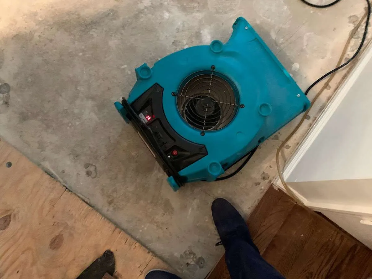 Air mover drying subfloor during Commercial Water Damage Restoration in Steilacoom